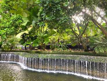 Botanické zahrady Singapur