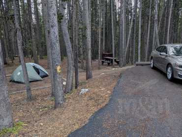 Yellowstone - kemp Canyon Village