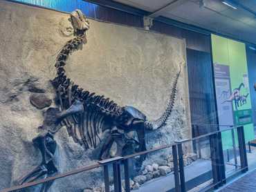 Dinosaur National Monument - Quarry Exhibit Hall