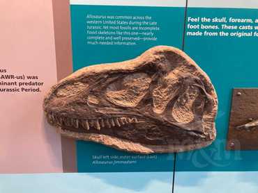 Dinosaur National Monument - Quarry Exhibit Hall