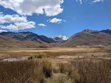 Pampa cestou k ledovci Pastoruri
