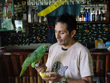 Průvodce s papouškem