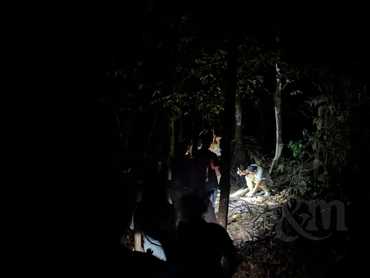 Noční procházka pralesem